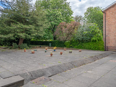 Picture 15